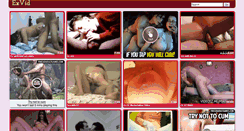 Desktop Screenshot of exvid.net